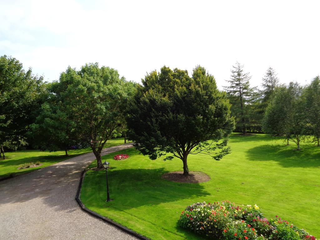Bed and Breakfast Redwood Dunrine Экстерьер фото